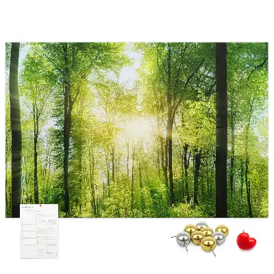 Tablica korkowa z motywem lasu i drzew Natura