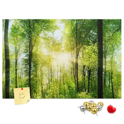 Tablica korkowa z motywem lasu i drzew Natura