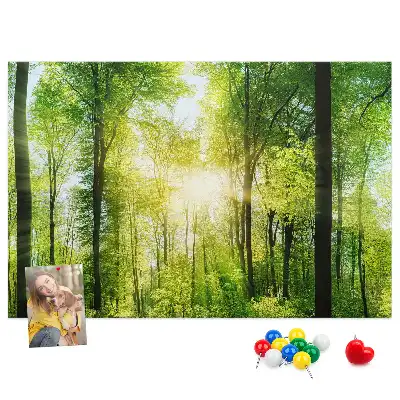 Tablica korkowa z motywem lasu i drzew Natura