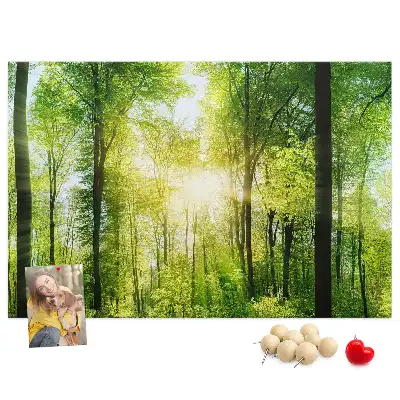 Tablica korkowa z motywem lasu i drzew Natura