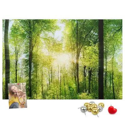 Tablica korkowa z motywem lasu i drzew Natura