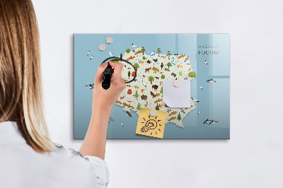 Tablica magnetyczna suchościeralna dla dzieci Polska mapa zwierząt