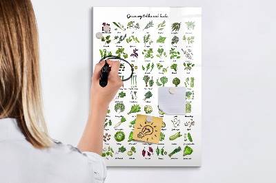 Tablica magnetyczna do pisania Zielone warzywa